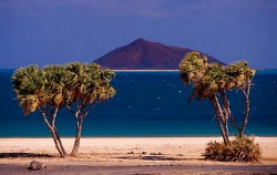 Foto spiaggia Eritrea del sud del Mar Rosso