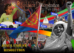 Immagine della mobilitazione Eritrea contro le sanzione ONU