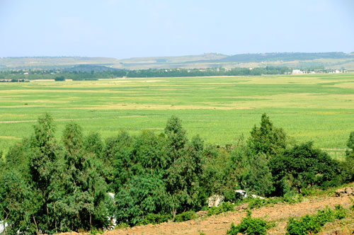Foto di un campo agricolo di Dibarua Eritrea