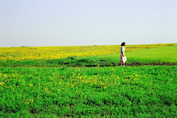 Immagine bella di una campagna eritrea in stagione di pioggia